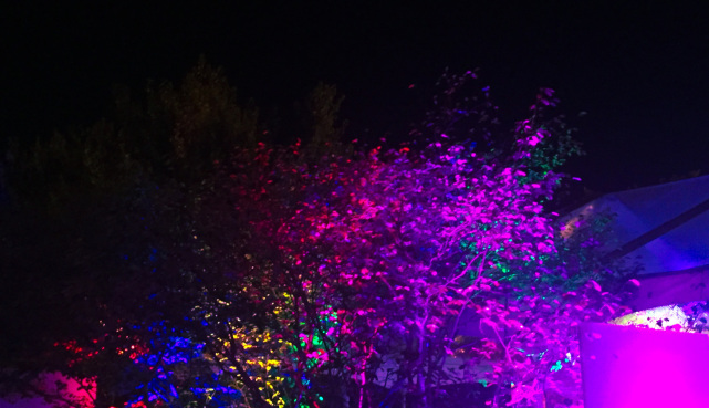 Tree uplighting