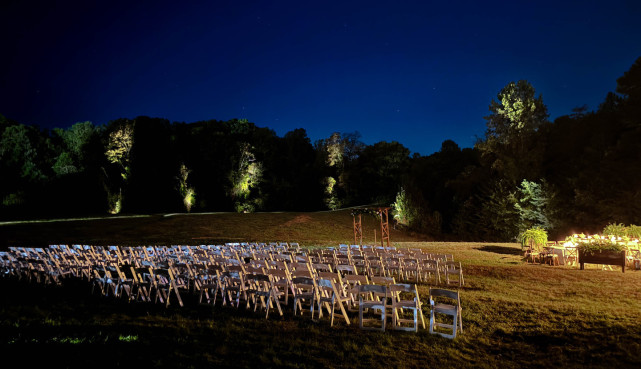 Tree uplighting at Reynold Gardens