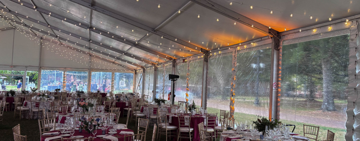 Uplighting at Davidson College