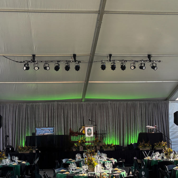 Background lighting at Childress Vineyards